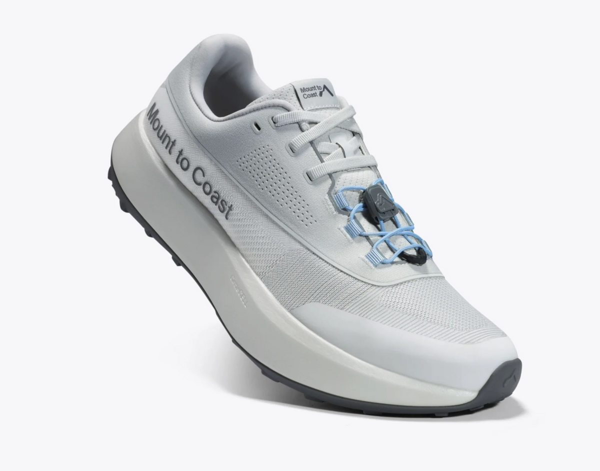 H1